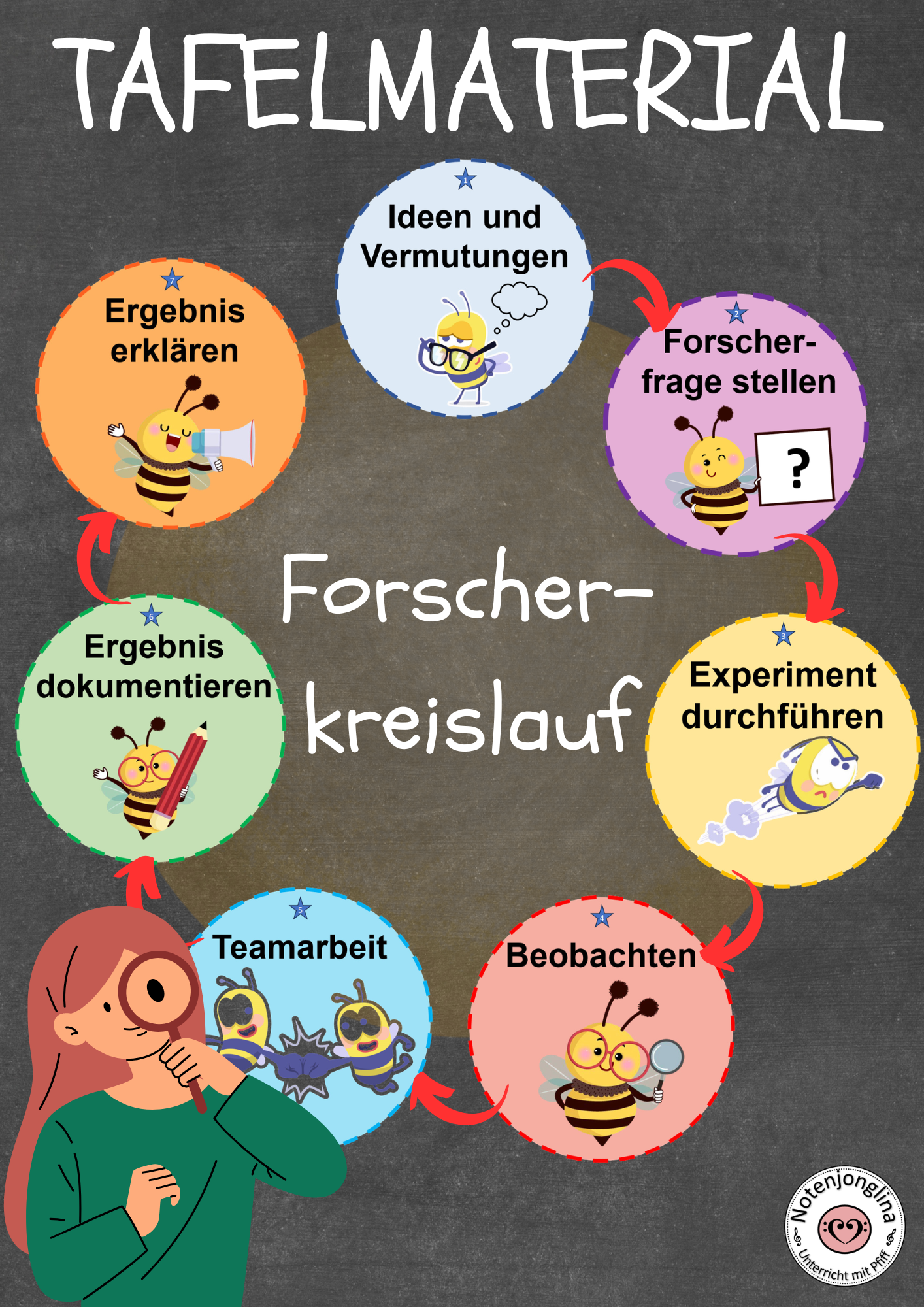 Forscherkreislauf / Experimentierkreislauf Tafelmaterial